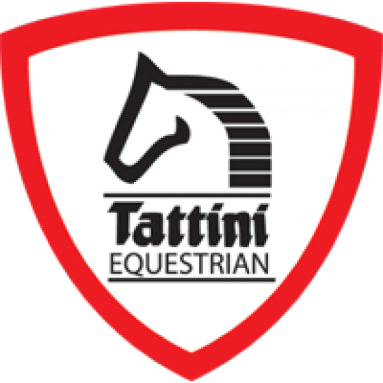 logo-tattini